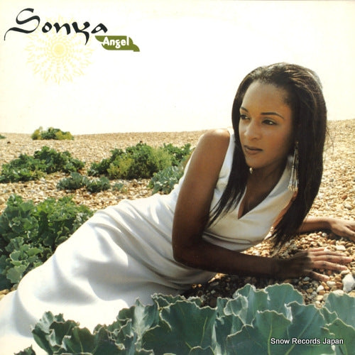 SM-1033 front cover