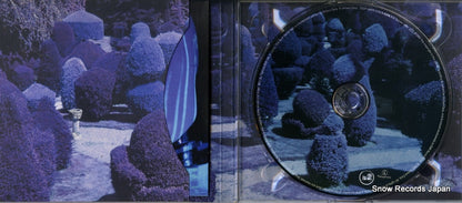 TOCP-67074 disc