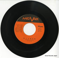 AV-13 disc