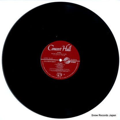 CHJ-30019 disc