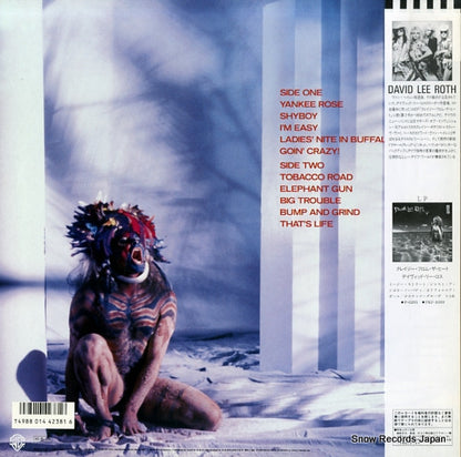 P-13334 back cover
