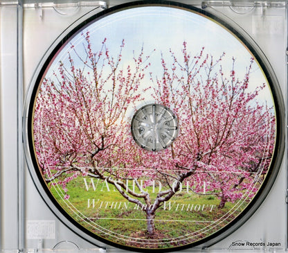 SP945 disc