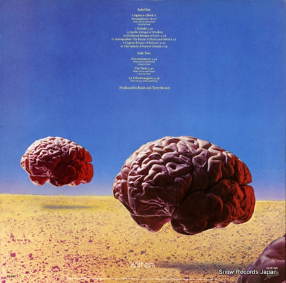 25.3P-269 back cover