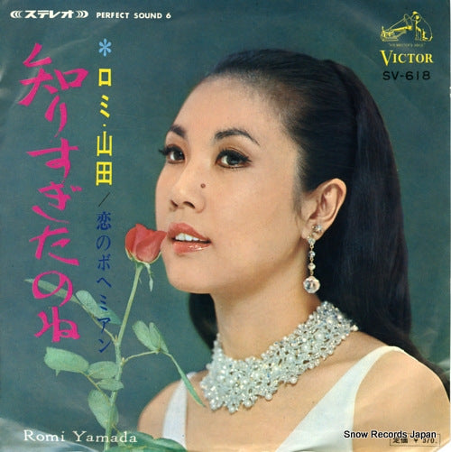 SV-618 front cover