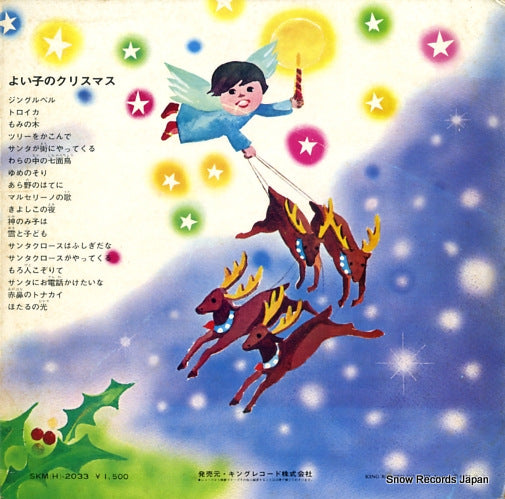 SKM(H)-2033 back cover