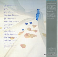 DSP-5117 back cover