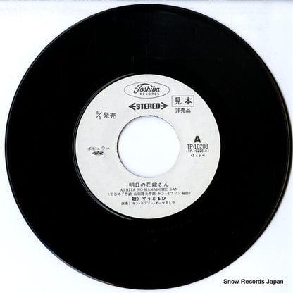 TP-10208 disc