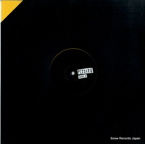 PZT-001 back cover