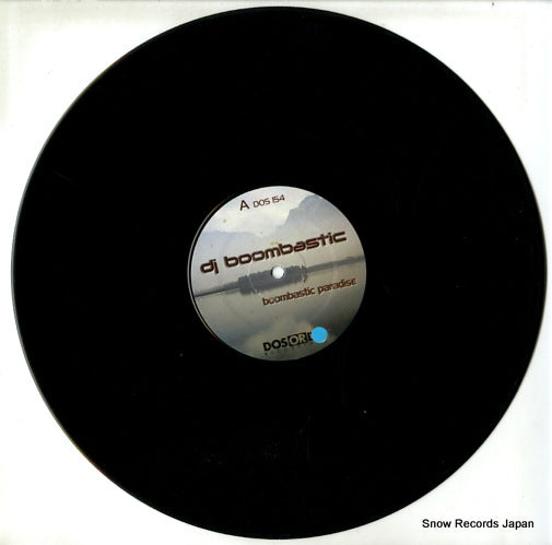 DOS154 disc