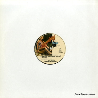 RK-010 back cover