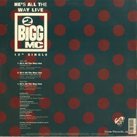 A10011 back cover