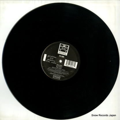 YR009 disc