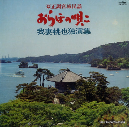 SW-9018 front cover