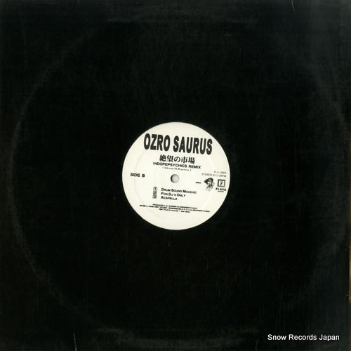FLV-2003 back cover