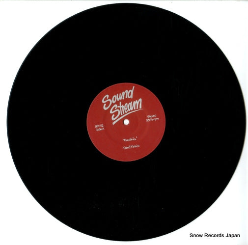 SST02 disc