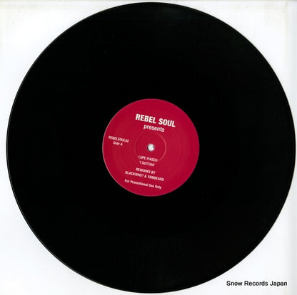 REBELSOUL02 disc