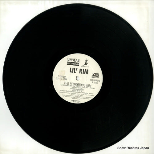 PR300246 disc