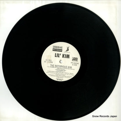 PR300246 disc