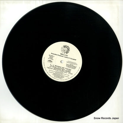 GR480-1 disc