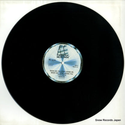 TMGLTD24 disc