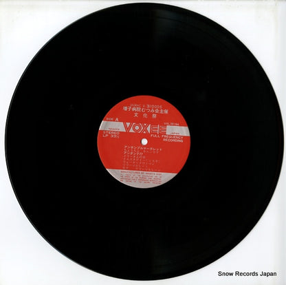 VXL78119 disc