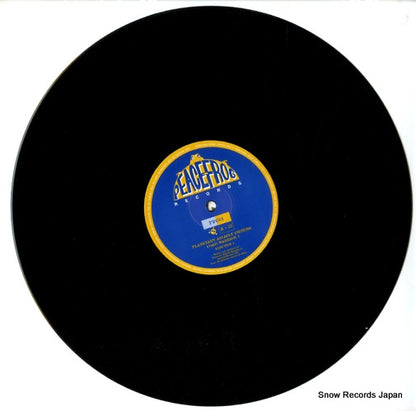 PFG01 disc