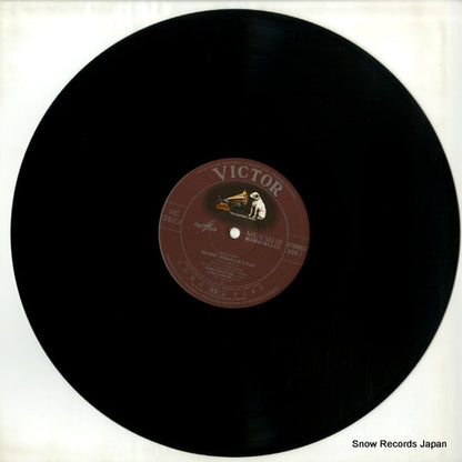VIC-28013 disc