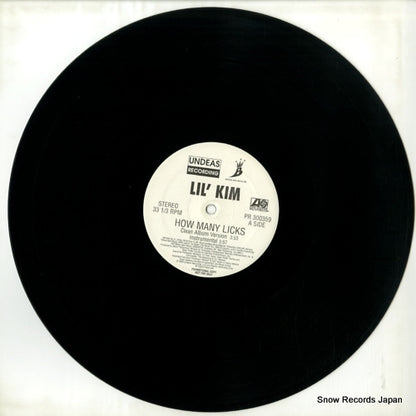 PR300359 disc