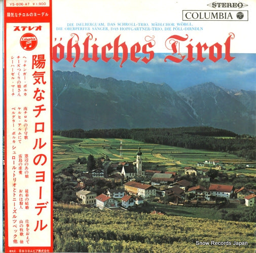YS-806-AT front cover