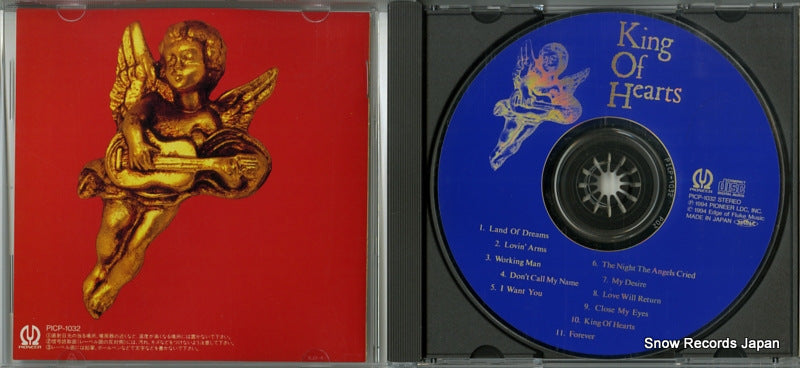 PICP-1032 disc