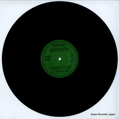 SM007004 disc