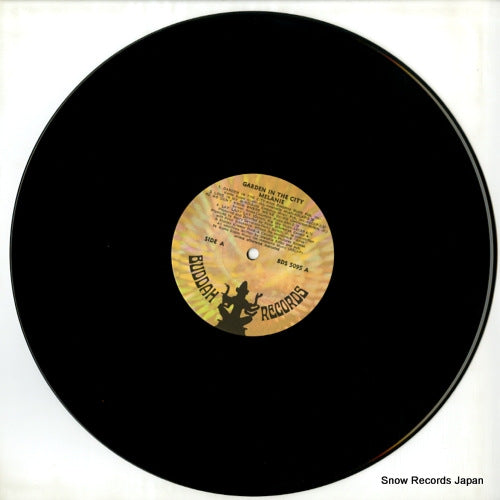 BDS5095 disc