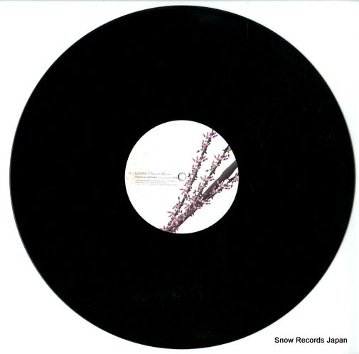 CAD09 disc