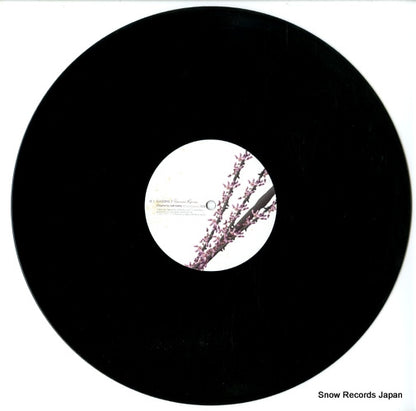 CAD09 disc
