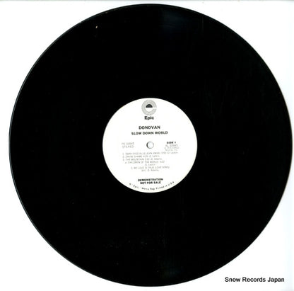 PE33945 disc