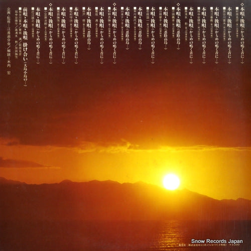 C30G0066 back cover