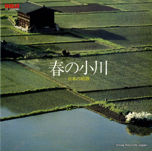 RVC-1039 front cover