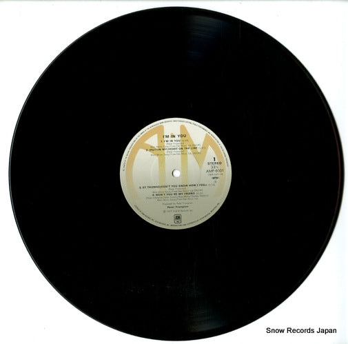 AMP-6001 disc