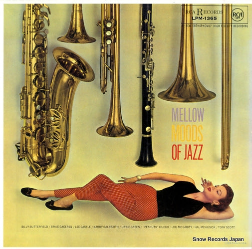 BVJJ-2818 front cover