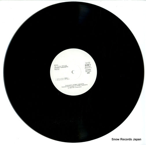RPL-8187 disc