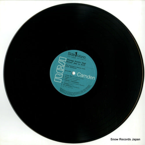 RGP-1088(M) disc
