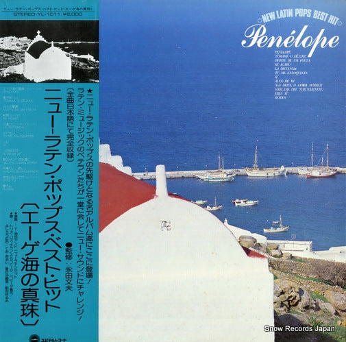 YL-1011 front cover