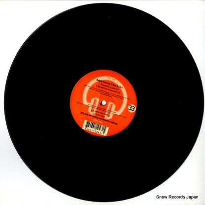 UR-12-043 disc