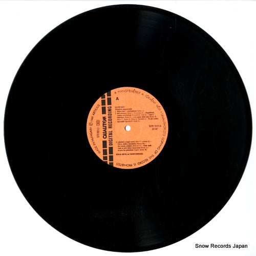 SLPD10211 disc
