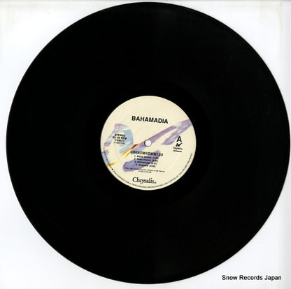 Y-58511 disc
