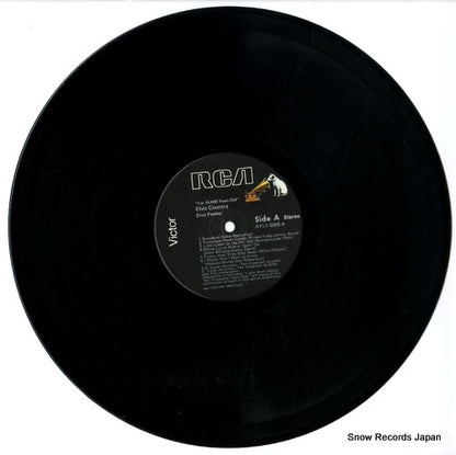 AYL1-3956 disc