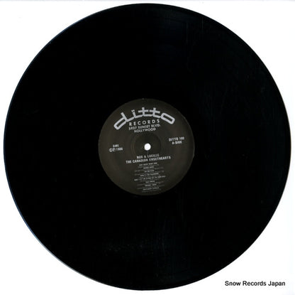 DITTOLP100 disc