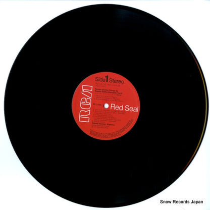 RVC-2133 disc