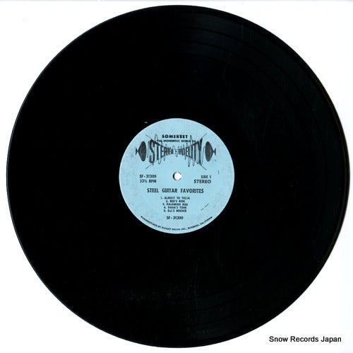 SF-31300 disc