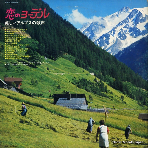 YS-2003-AD back cover
